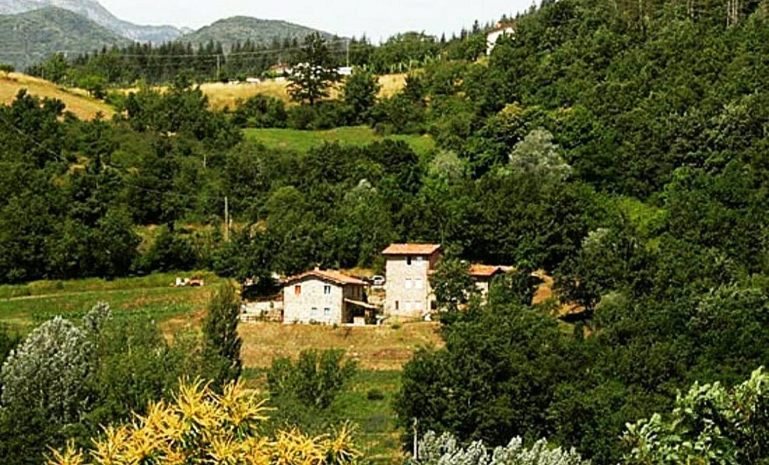 Agriturismo Paneolio Villa Collemandina Buitenkant foto