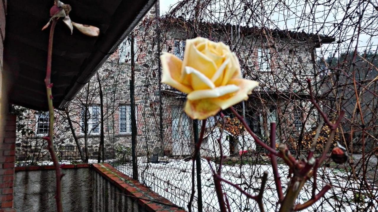 Agriturismo Paneolio Villa Collemandina Buitenkant foto