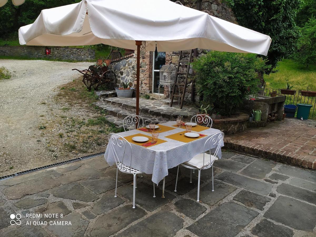 Agriturismo Paneolio Villa Collemandina Buitenkant foto
