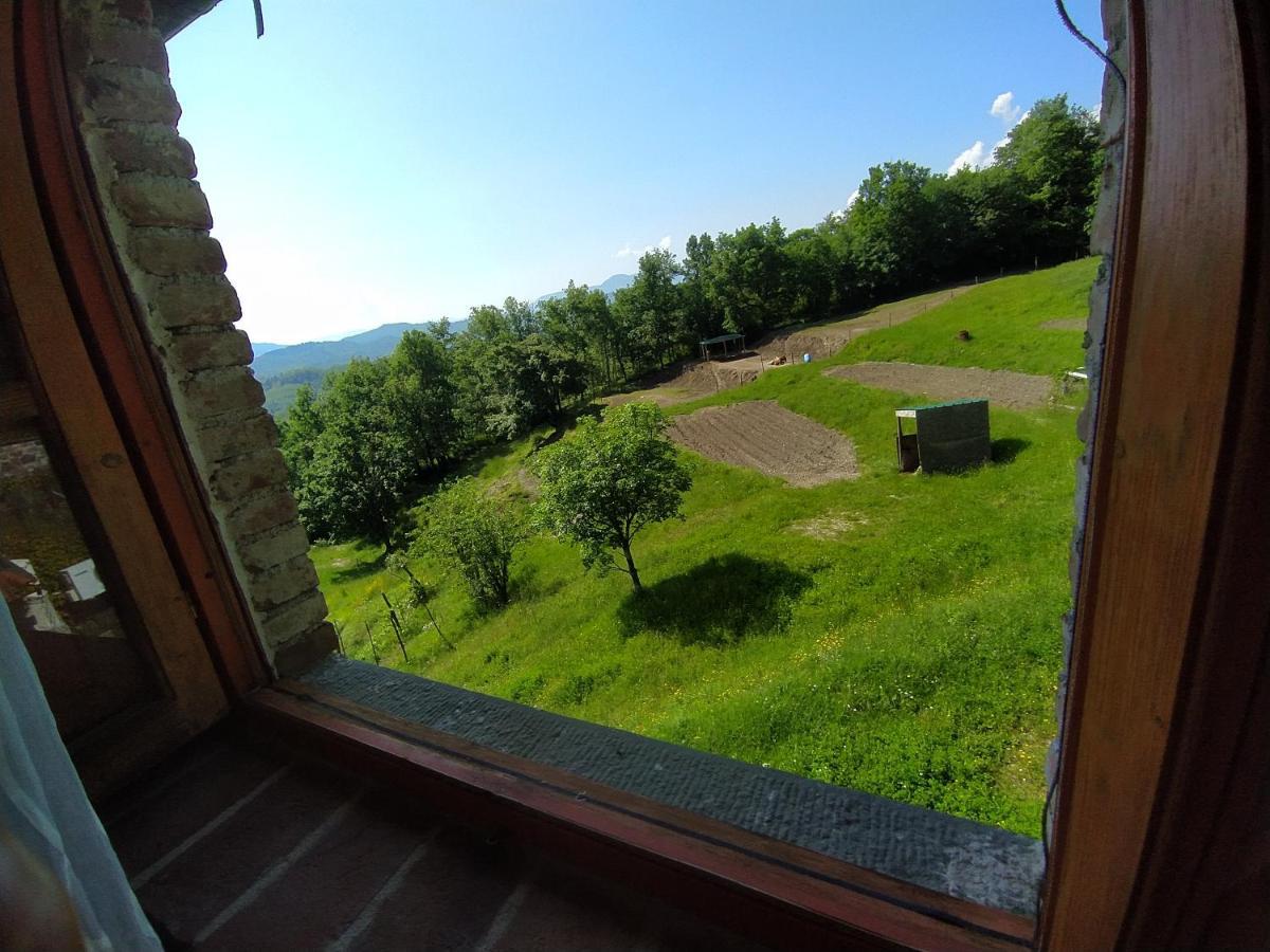 Agriturismo Paneolio Villa Collemandina Buitenkant foto